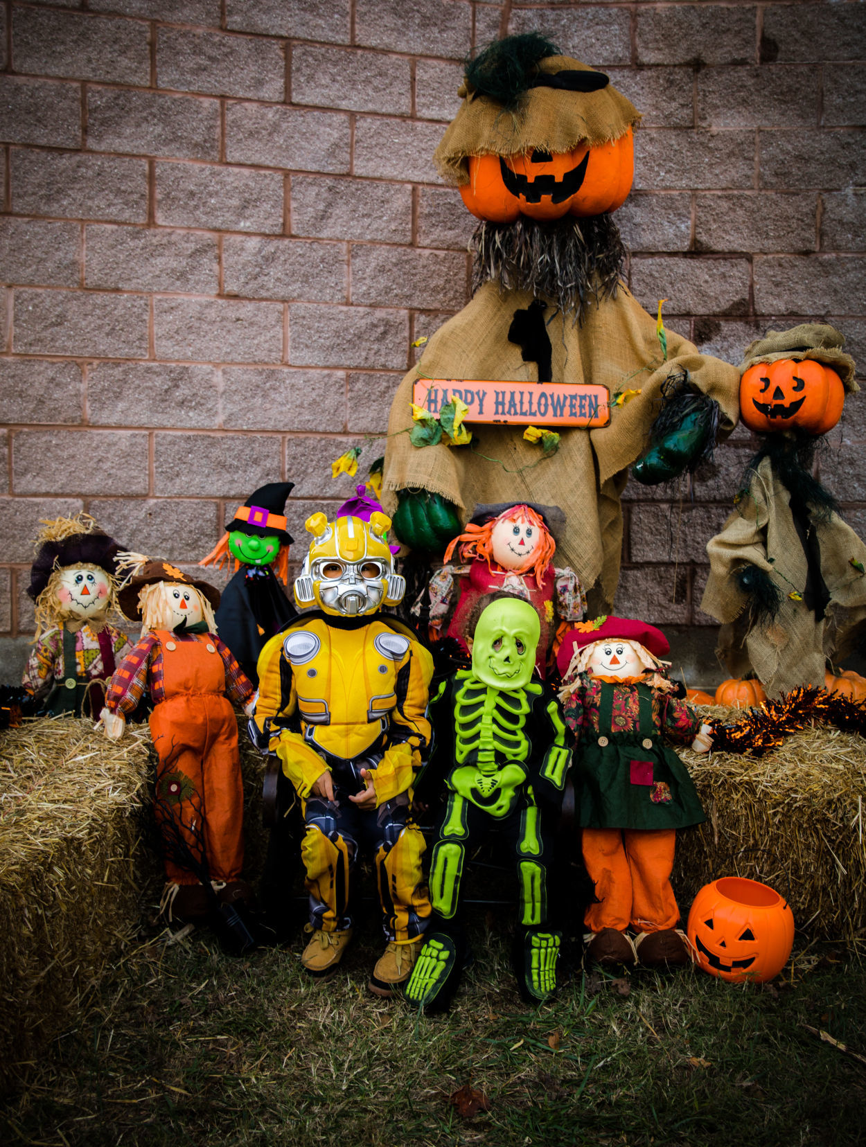 Pumpkins in the Park